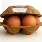 biodegradable-packaging