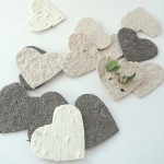 biodegradable seed paper